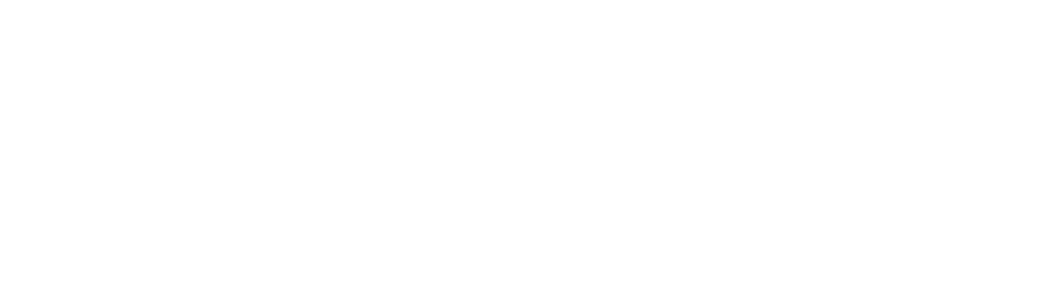 SoftFyer